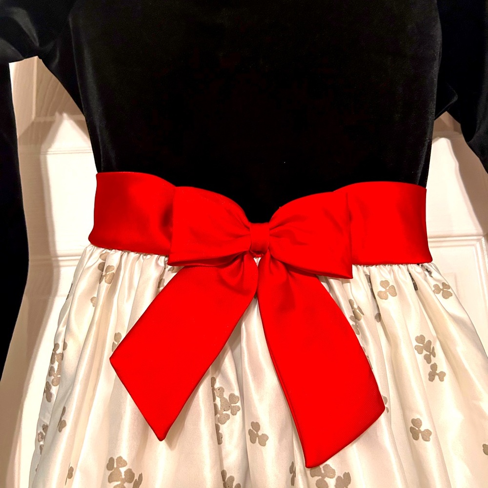 Rare edition holiday dress